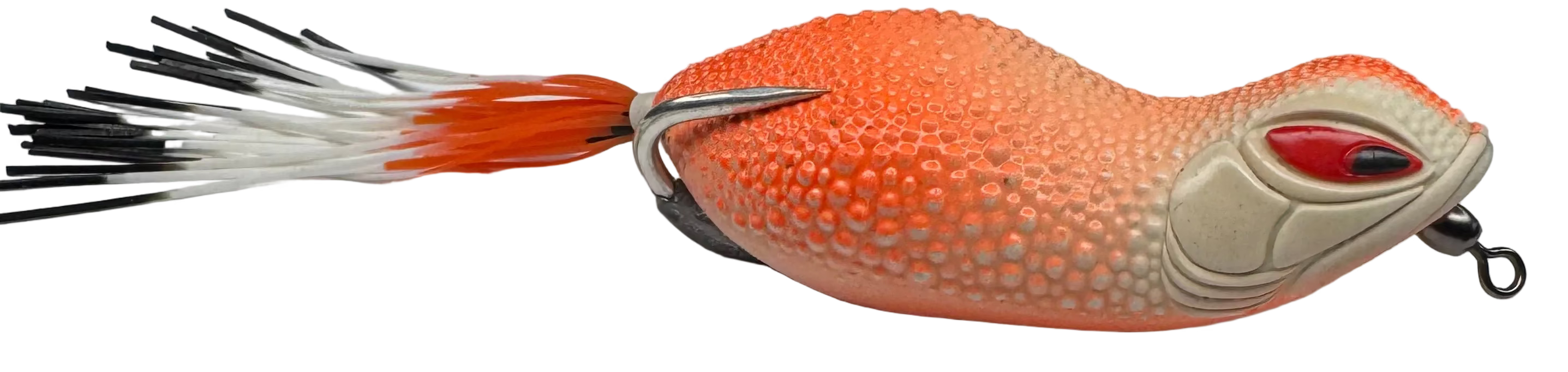 Bighead skirted