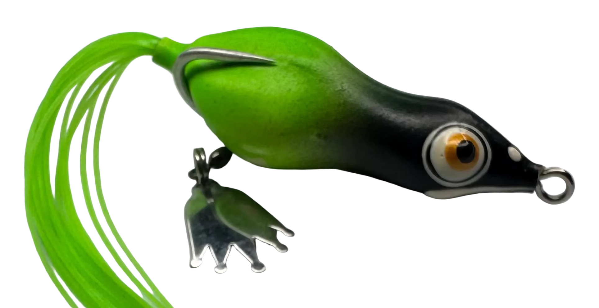 Skink